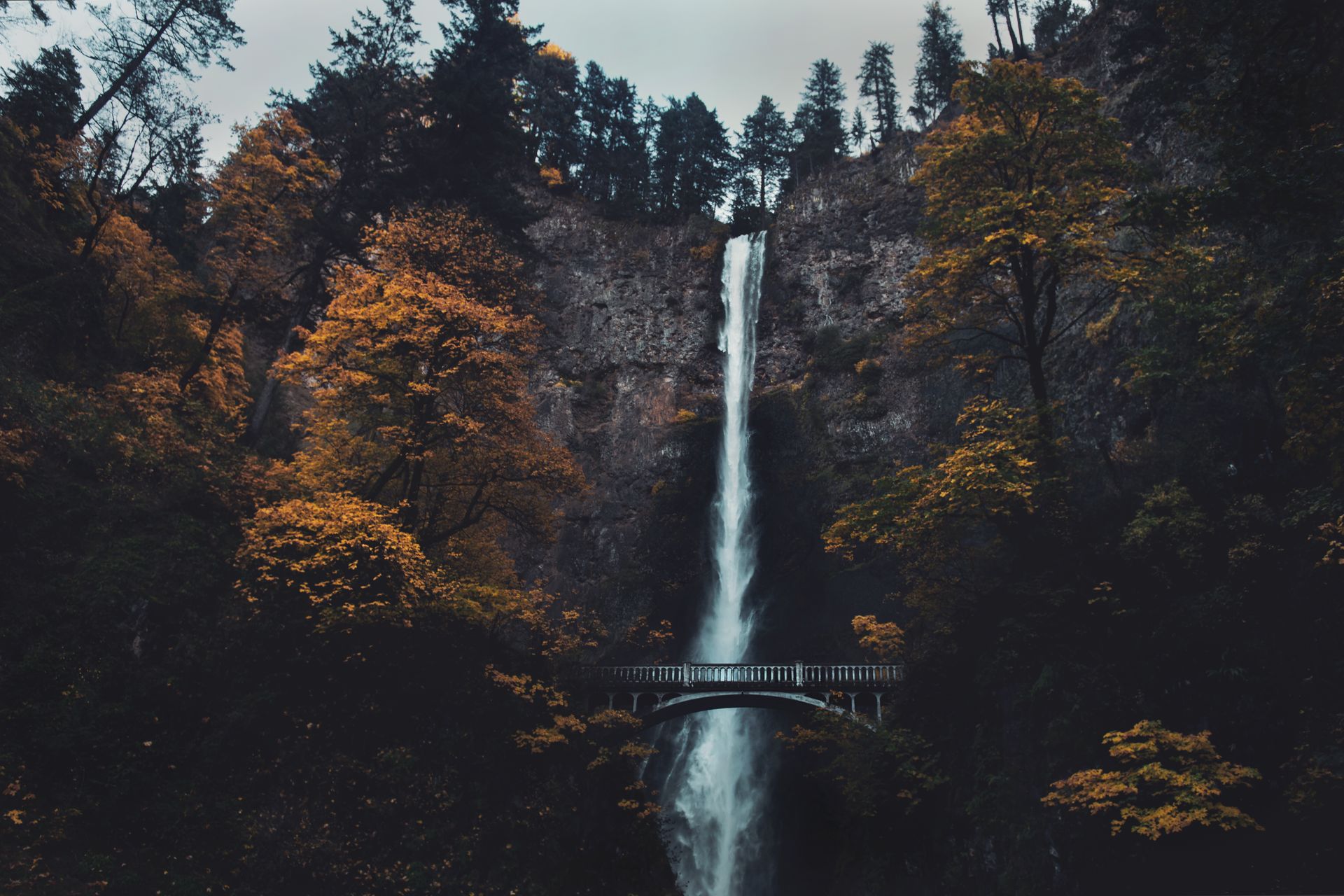 Multnomah Falls and the Benson Bridge framed by autumn forest in the Columbia River Gorge